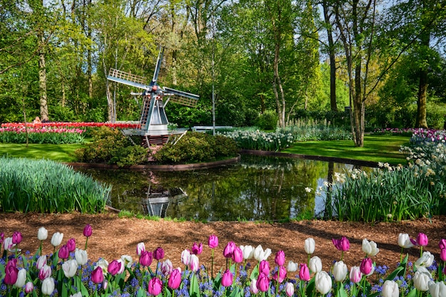 Ogród Kwiatowy Keukenhof. Lisse, Holandia.