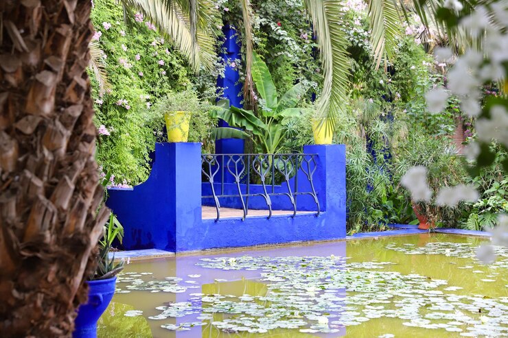 Ogród Majorelle w Marrakeszu Maroko