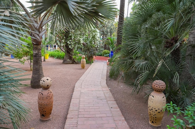 Ogród Majorelle w Marrakeszu Maroko