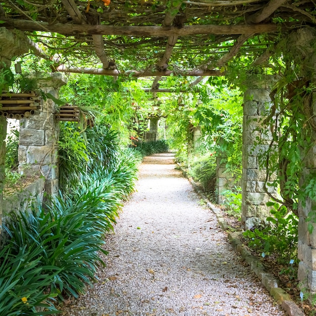 Ogród O Konstrukcji Pergoli O Jasnych Kolorach W Okresie Późnego Lata. Ta Architektura I Design Zostały Zainspirowane Naturą.