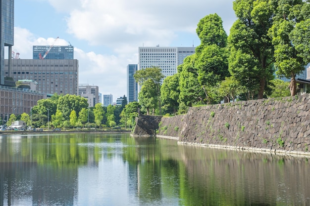 Ogród pałacu cesarskiego z wysokimi drapaczami chmur na tle w Tokio w Japonii