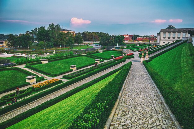 Ogród Pałacu Królewskiego