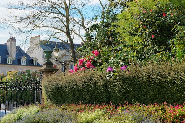 Ogród piwonii w centrum miasta Rennes, region Bretanii we Francji.