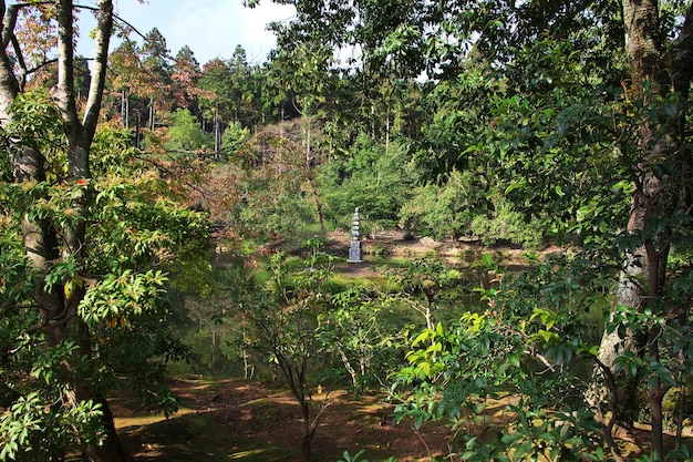 Ogród W świątyni Kinkakuji W Kioto W Japonii