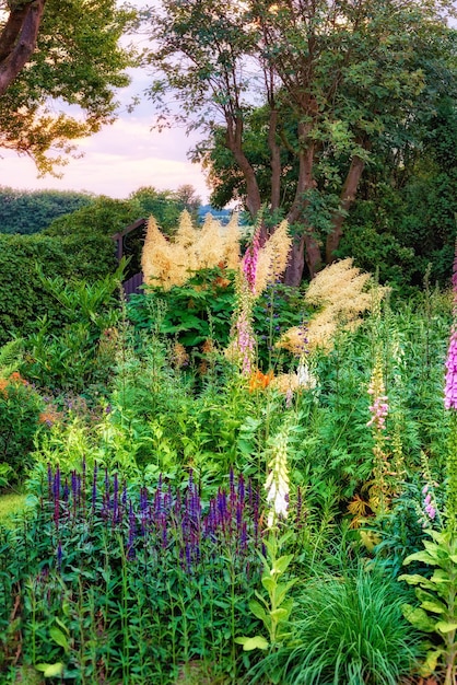 Ogródek letni Zdjęcie ogrodu w okresie letnim