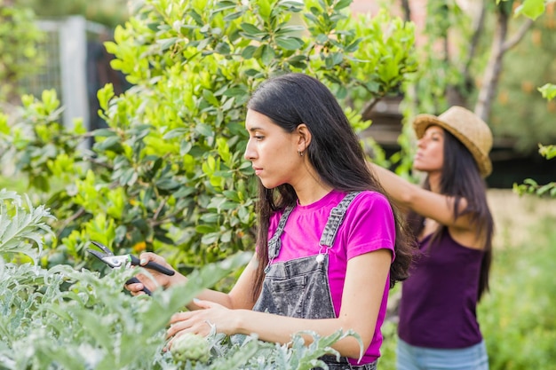Ogrodnictwo w organicznym ogrodzie miejskim Wieloetniczna łacińska kubańska wenezuelska latynoska i marokańska kobieta
