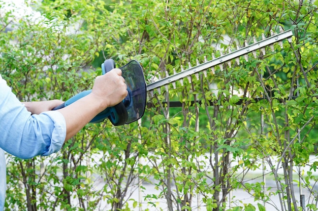 Ogrodnik przycinający krzak za pomocą elektrycznych nożyc do żywopłotu w ogrodzie Hobby w domu