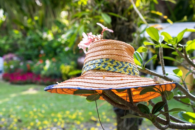 Ogrodnik, słomkowy kapelusz na drzewie w parku.