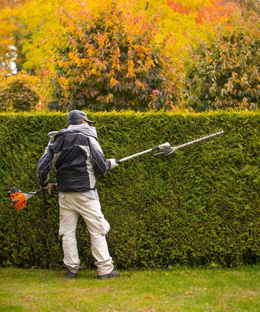 Ogrodnik Tnie żywopłot W Topiary Ogrodzie