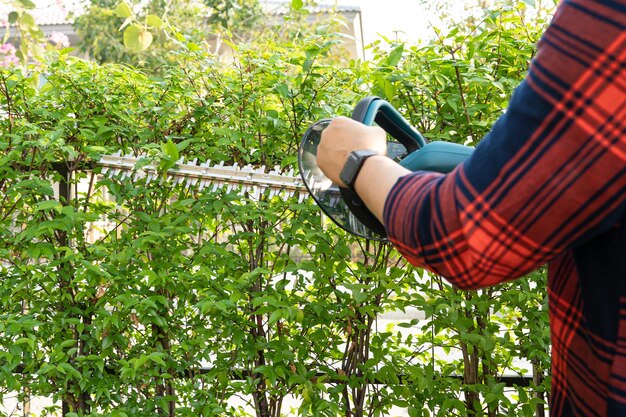Ogrodnik trzymający elektryczny przycinacz żywopłotów do cięcia wierzchołków drzew w ogrodzie