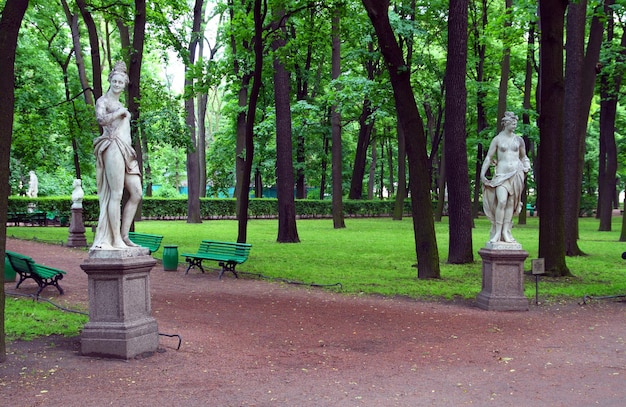 Zdjęcie ogrody letnie w sankt petersburgu