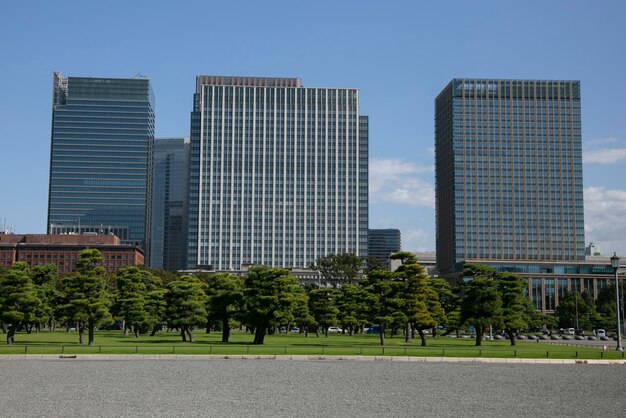 Ogrody przed japońskim zamkiem cesarskim w Tokio