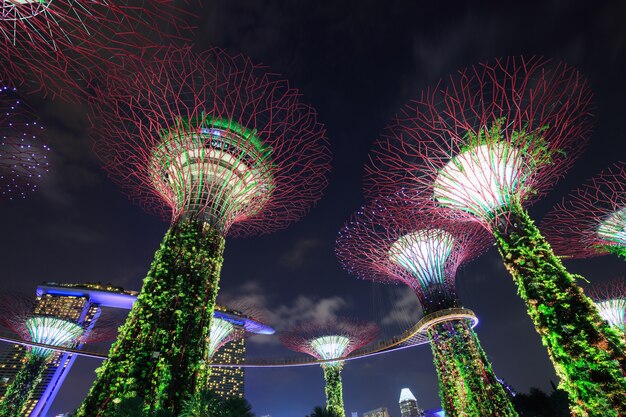 Ogródy przy zatoką przy nocą, Singapur