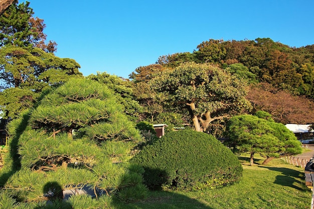 Ogrody Sankeien w Jokohamie w Japonii