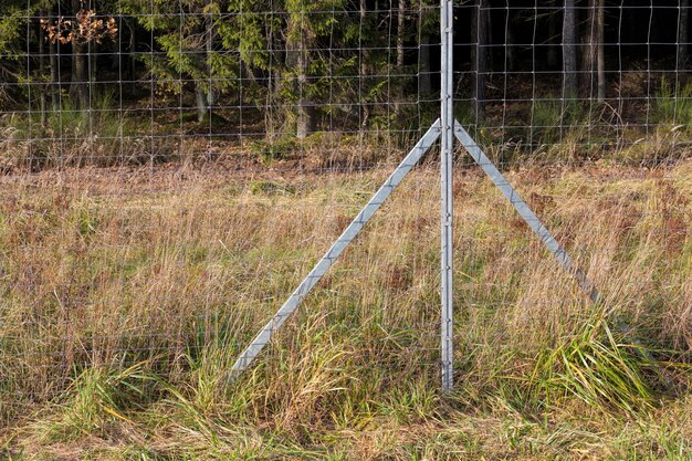 Ogrodzenia metalowe w pobliżu lasu, które chronią i zapewniają bezpieczeństwo zwierząt z jezdni, część ogrodzenia wyznaczającego las i drogę