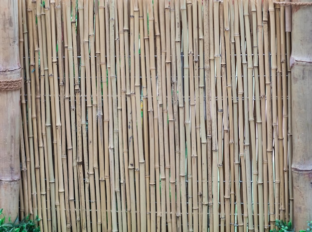 ogrodzenie z trzciny bambusowej