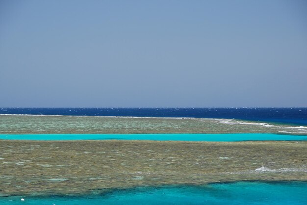 Ogromna rafa koralowa do nurkowania i snorkelingu w dużym widoku Egiptu