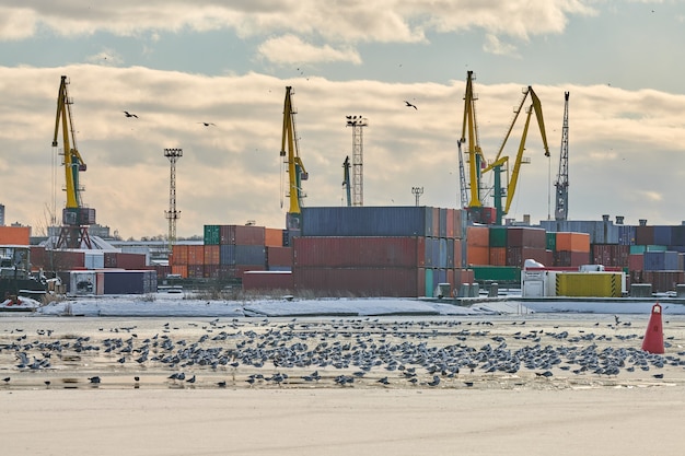 Zdjęcie ogromne dźwigi portowe w porcie morskim. dźwigi portowe do ciężkich ładunków w porcie, stoczni kontenerowej, terminalu kontenerowym. biznes i handel, logistyka. zimowa scena przemysłowa.