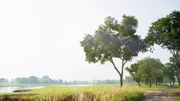 Ogromne pole golfowe z kanałami lub rzekami na boku I cieniaste drzewa z kwitnącymi krzewami i trawą wzdłuż chodnika Atmosfera pola golfa w porannym mgle i słońcu w poranku