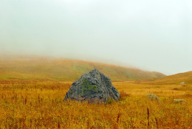Ogromny granitowy głaz leżący pośrodku jesiennej alpejskiej łąki na przełęczy