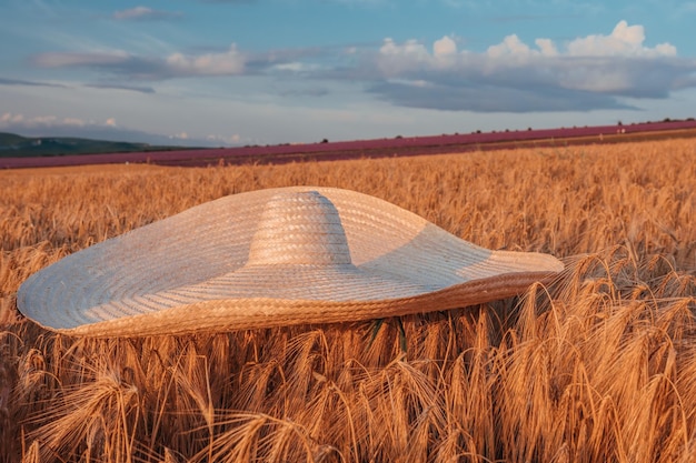 Ogromny słomkowy kapelusz na pagórkowatym polu pszenicy w piękny zachód słońca - czas żniw. Skopiuj miejsce. Pojęcie spokoju, ciszy i jedności z naturą.