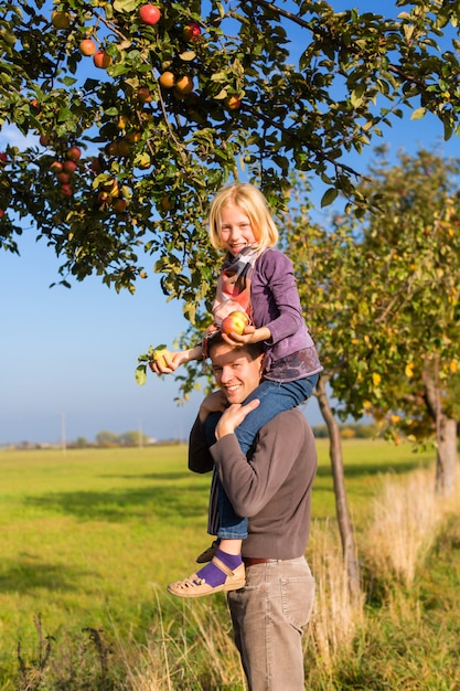 Ojciec i córka zbierając jabłka jesienią lub jesienią