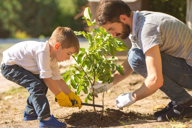 Ojciec i syn sadzą małe drzewko