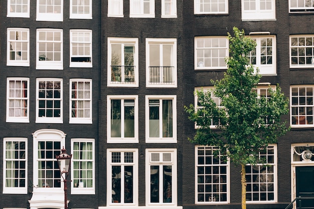 Okna budynków w Amsterdamie