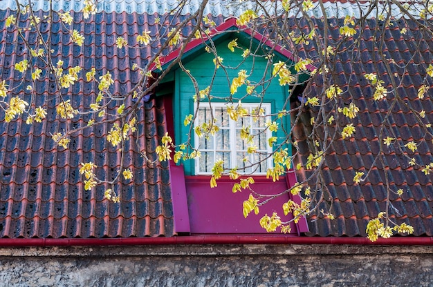 Okno Na Dachu Poddasza W Budynku W Stylu Klasycznym Tallinn Estonia