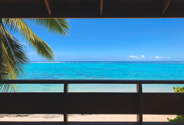 Okno na tropikalną wyspę plażową z palmą kokosową