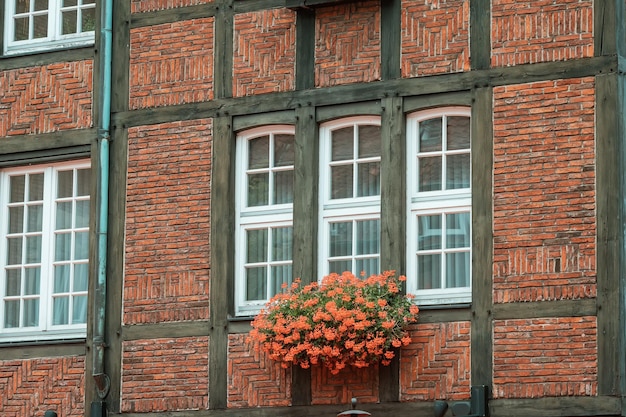 Okno z kwiatami w starym europejskim miasteczku Obudowa i zakwaterowanie