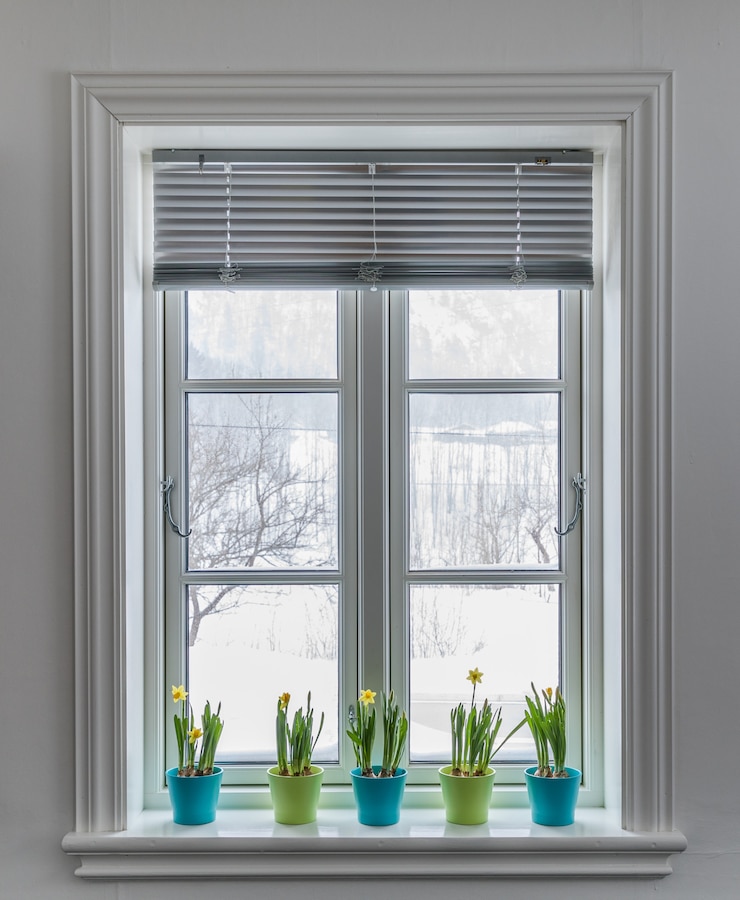 Zdjęcie okno z żaluzją, ozdobione kolorowymi doniczkami dwarf daffodils, narcissus. wiosna ze śniegiem na zewnątrz.