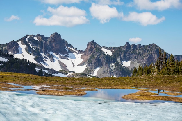 Okolice MtBaker