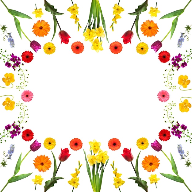 Zdjęcie okrągła rama z kolekcją kwiatów i pustą przestrzenią na białym tle kompozycja flory mieczyk róża tulipan gerbera narcyz dzika trawa delphinium koncepcja wiosny płaski widok z góry