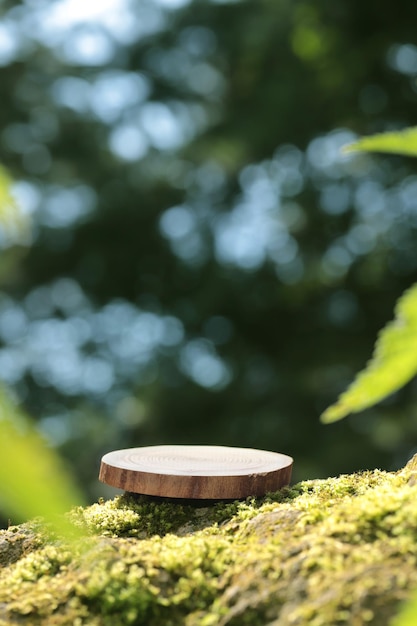 Okrągła rzeźbiona drewniana płyta leży na kamieniu z mchem w lesie, stojak, podium. Bokeh