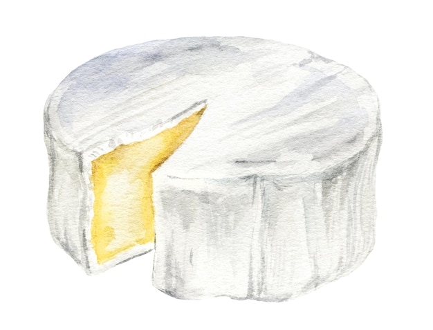 Okrągły ser camembert w kolorze wodnym z kawałkiem włoskiej i francuskiej kuchni klasycznej ręcznie rysowane i