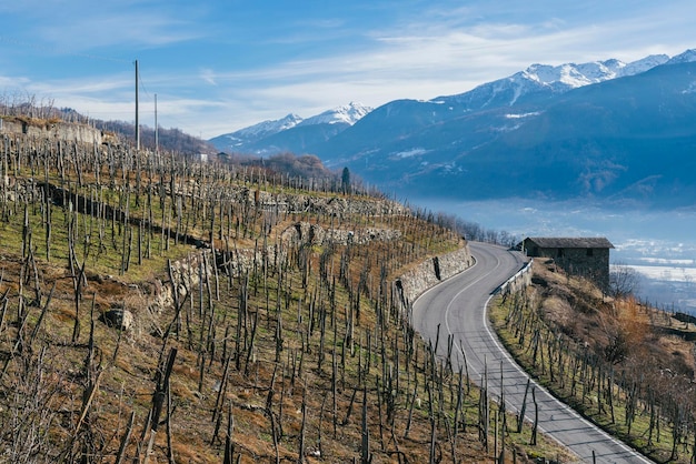 Okrężne Drogi W Valtellinie W Dolinie Niedaleko Sondrio W Lombardii W Północnych Włoszech Graniczącej Ze Szwajcarią