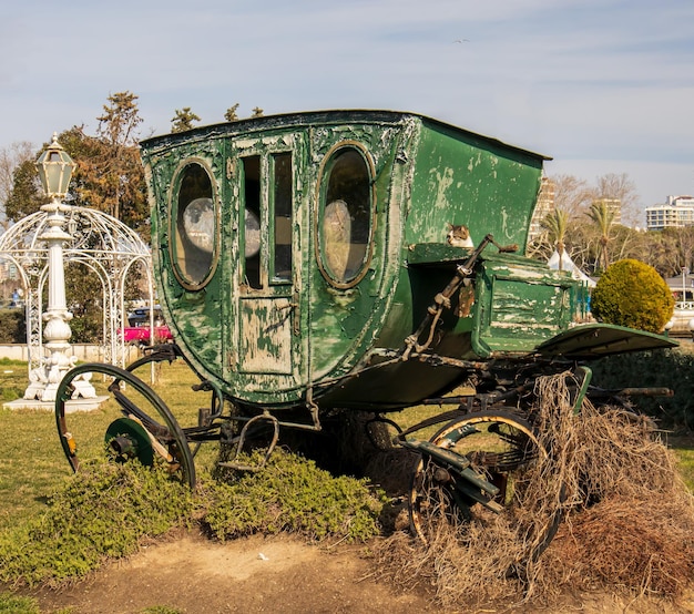 Zdjęcie old green horse cart i kot kierowca dorożki na nim pod bezchmurnym niebem