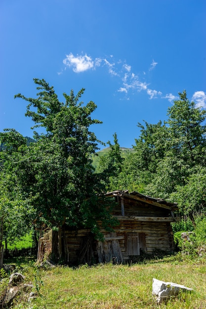 Old Wood Hayloft W Savsat, Artvin, Blacksea - Turcja