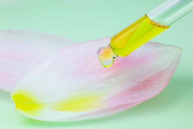 Olejek kosmetyczny z pipetą na zielonym tle. Zbliżenie kropli cieczy kapiącej na płatek z różowego tulipana. Pojęcie piękna, medycyny i opieki zdrowotnej. Zdjęcie makro. Kosmetyki naturalne, ekologiczne.