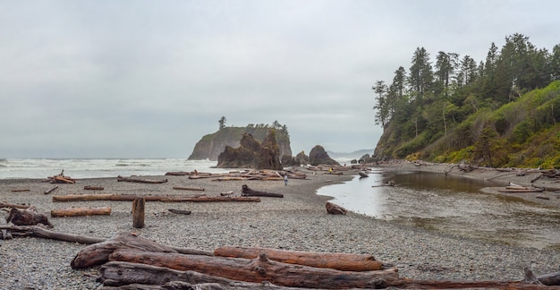 Olimpijski Park Narodowy Ruby Beach w amerykańskim stanie Waszyngton