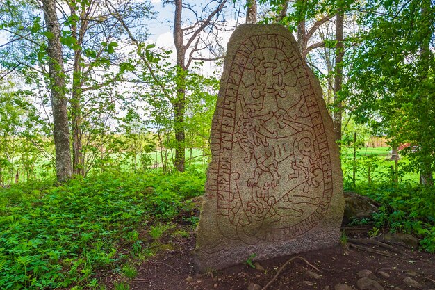 Zdjęcie olsbrostone pięknie ozdobiony runestone z epoki wikingów w lesie