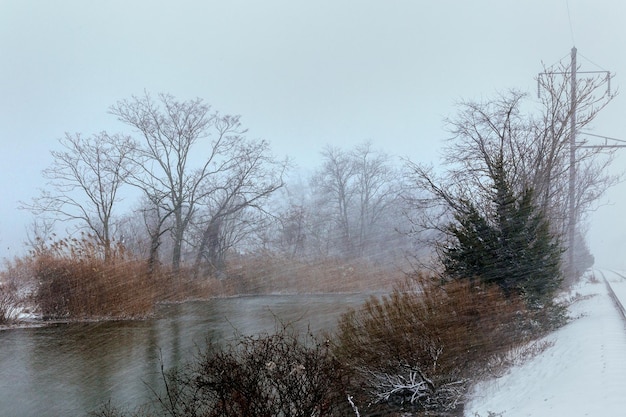 Opady śniegu nad rzeką zima mglista pochmurna śnieżna pogoda trzcina i trawa pod śniegiem i mrozem na ar