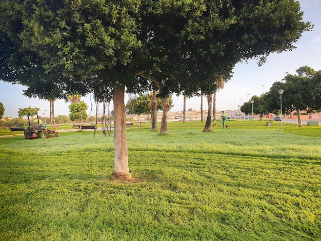 Operarios trabajando cortando el césped en parque público