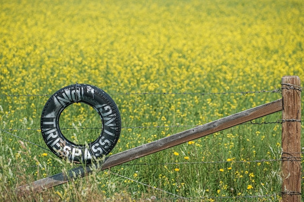 Opona bez znaku wjazdu przed farmą Canola