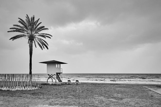 Opustoszała plaża z palmą i wieżą ratowniczą nad morzem. Fotografia czarno-biała, krajobraz