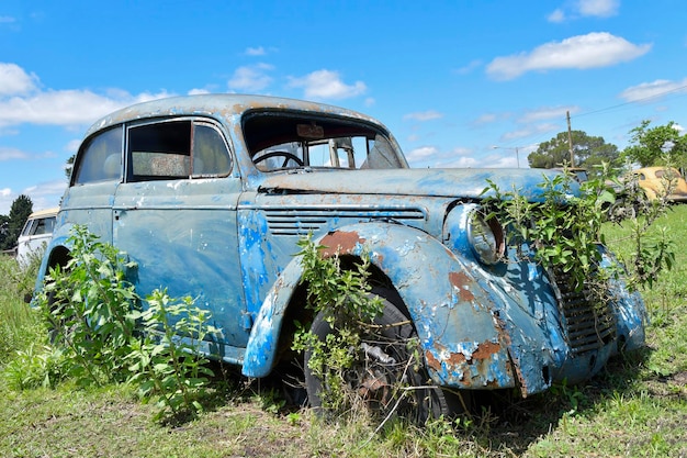 Opuszczone i zniszczone stare pojazdy w urugwaju