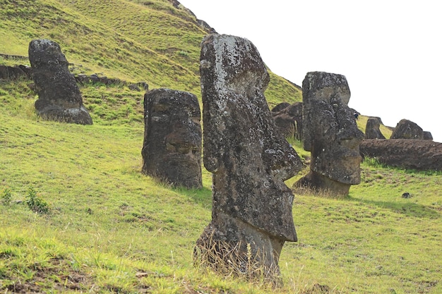 Opuszczone ogromne posągi Moai na wulkanie Rano Raraku Zabytkowy kamieniołom Moai na Wyspie Wielkanocnej, Chile