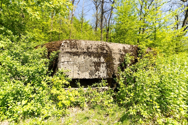 Opuszczony bunkier betonowy ze strzelnicą częściowo porośnięty mchem w letnim lesie. Stary opuszczony bunkier okrągły typu bunkier ze strzelnicą.