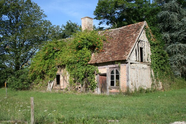 Zdjęcie opuszczony dom na trawiastym polu